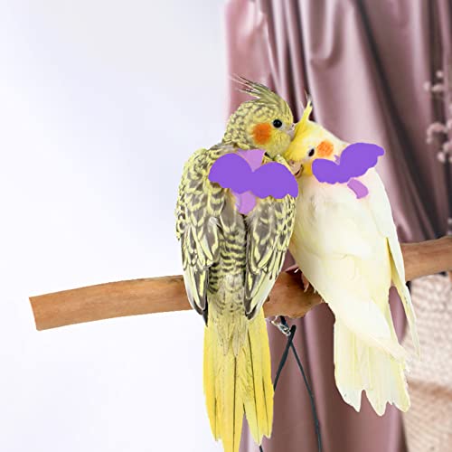 Dnoifne Pet Parrot Bird Harness and Leash, Adjustable Training Design Anti-Bite, Bird Nylon Rope with Cute Wing for Parrots, Suitable for Scarlet, Keck, Mini Macaw and Same Size Birds (Light Purple) - color: light purple