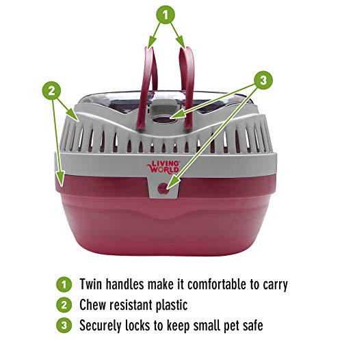 Living World – Pet Carrier for Small Pets, Large