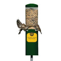 Birds Choice Classic Squirrel Proof Bird Feeder with Pole Mount | Tube Bird Feeder for Cardinals, Chickadees, Woodpeckers | Sturdy Steel for Long-Lasting Use | Backyard Bird Seed Dispenser | Green | Sturdy Steel Tube Seed Dispenser, for Cardinals, Chickad