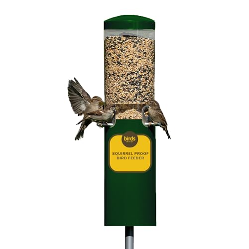 Birds Choice Classic Squirrel Proof Bird Feeder with Pole Mount | Tube Bird Feeder for Cardinals, Chickadees, Woodpeckers | Sturdy Steel for Long-Lasting Use | Backyard Bird Seed Dispenser | Green | Sturdy Steel Tube Seed Dispenser, for Cardinals, Chickad