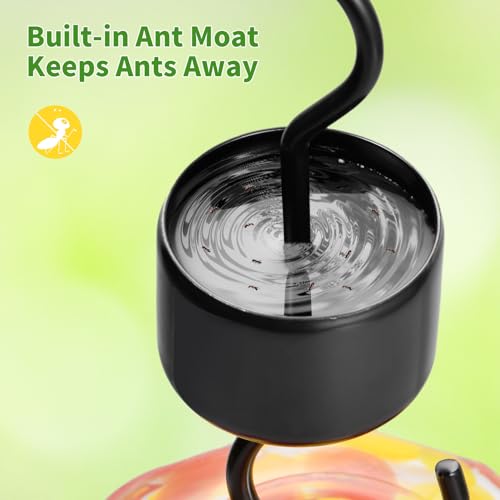 Camera Bird Feeder