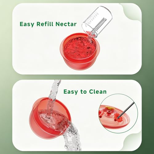 Window Hummingbird Feeder with Strong Suction Cups, Small Hummingbird Feeder for Window with Ant Moat, Bee-Proof Feeding Ports & Sun Shades, Easy to Refill and Clean for Up-Close Viewing Bird