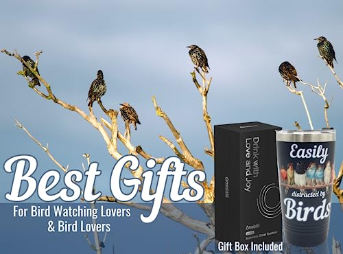 Onebttl Bird Watching Tumbler, 20oz Stainless Steel Insulated with Lid & Straw, Gift Card & Box Included, Perfect for Bird Lovers & Watchers, Birthday Gift - 360 Black - color: Black-Easily distracted by birds