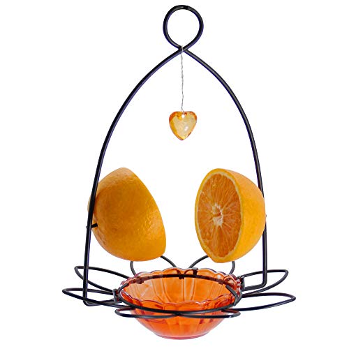 FORUP Oriole Bird Feeder, Orange Fruit Oriole Feeder - color: Orange