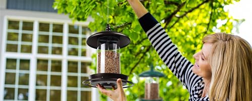 Metal Bird Feeder, Hanging or Ground Outdoor Bird Feeder, Weather Cover, Removable Seed Container and Easy Clean Design- (7x7x7in)