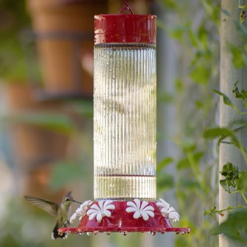 Nature's Way Hanging Glass Hummingbird Feeder for Outdoor Décor, 28 Ounce Capacity Nectar Feeder, Ant Moat, 7 Easy to Clean Flexible Ports, Red - style: 28 Ounce Capacity