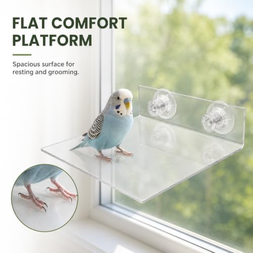 HANABASS Suction Cup Bird Perch Platform for Window and Shower, Acrylic Clear Flat Parrot Stand for Parakeet Cockatiel Macaw, Portable Wall Mounted Accessory