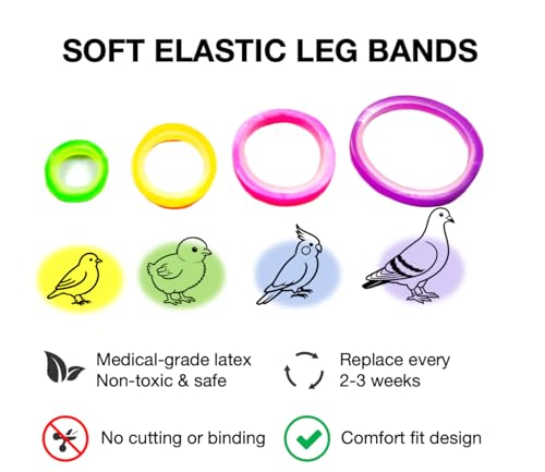 100PCS Baby Poultry Leg Bands, Soft Elastic Chicken Leg Rings for Identification, Comfort Fit for Chicks Ducklings Bantams Pigeons Parrots Canaries and Small Birds (Small (Size 3) 3/16”) - size: SMALL (Size 3)3/16”