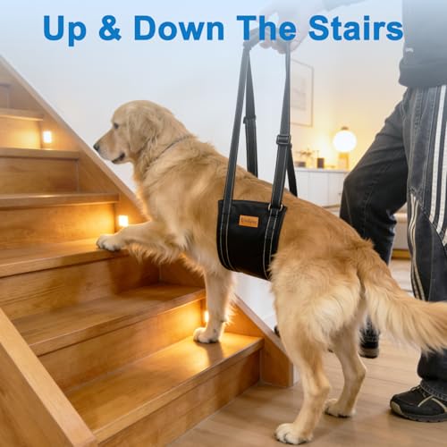 Vivifying Dog Lift Harness for Large Dogs, Soft Bird's-Eye Rear Leg Support Sling, Dog Lifting Harness for Weak Back Legs, Senior Injured Disabled Dogs, ACL Surgery Mobility Assist, L, White - size: L