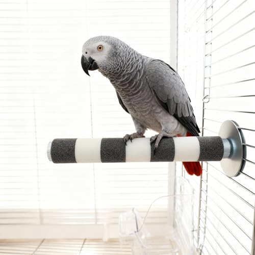 Bird Perch for Cage, Parrot Perch 7.9” x 1” Bird Beak Grinding Stone – Durable Beak & Claw Trimming Accessory for Conure, Cockatiel & Parrot, Non-Toxic Birds Cage Accessory - color: Off-White