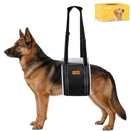 Vivifying Dog Lift Harness for Large Dogs, Soft Bird's-Eye Rear Leg Support Sling, Dog Lifting Harness for Weak Back Legs, Senior Injured Disabled Dogs, ACL Surgery Mobility Assist, L, White - size: L