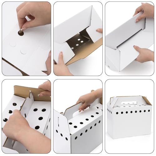 Coloch 20 Pack Cardboard Pet Carrier for Small Pets, 11x8x6 Inches Disposable Pet Transport Box for Pullets, Fowls, Hamsters, Gerbils, Reptiles, Guinea Pigs