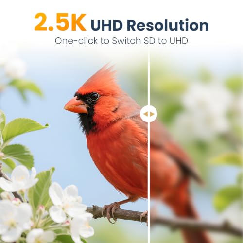 Smart Metal Bird Feeder with Camera, Light Blue | Squirrel Proof, 2.5K UHD AI Identification, Wireless Solar Powered, Real-time Videos & IMG, Outdoor for Garden Birding - color: Light Blue