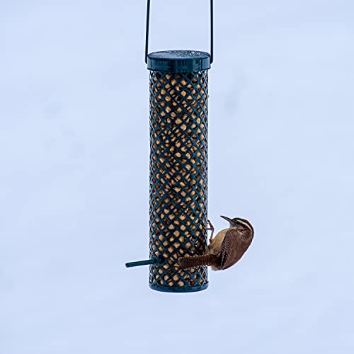 C&S Woodpecker Suet Nuggets Single Packs, 27 oz, None (Pack of 2) - size: 1.69 Pound (Pack of 2)