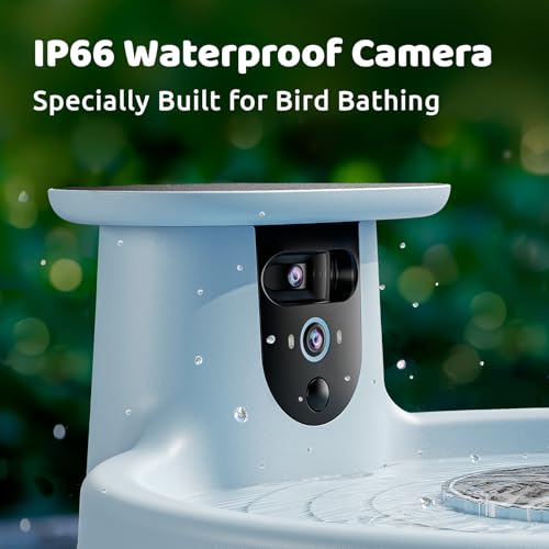 Birdfy Smart Bird Bath with Camera, Solar Powered, Dual-Lens 2K AI Camera | Watch Birds Bathe & Drink in Stunning 2K with Dual-Lens Auto Tracking, Solar Power, Fountain and Lifetime AI Bird Recognition - style: AI Lifetime