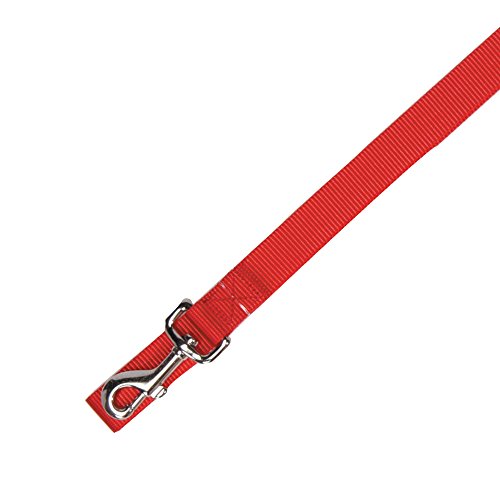 Zack & Zoey Basic Nylon Dog Leash, 4-Feet x 5/8-Inch Lead, Tomato Red - color: Tomato Red, size: 4-Feet x 5/8-Inch Lead