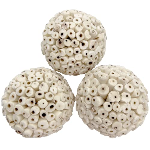 5109 Mega 4 Inch Sola Ball Pk3 - Huge handmade natural sola wood balls, Made from air dried pieces of natural sola wood, Break up for extra material, Foraging fun for large pets Macaw Cockatoo Grey - color: Mega Sola Balls, size: Pack 3