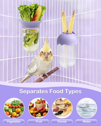 2Pcs Bird Cage Vegetable Feeder, Hanging Veggie Holder with Hydration Feature to Maintain Freshness, Easy-Clean Clip Feeder for Parakeet, Parrot, Lovebird, Budgie(Purple) - color: Purple