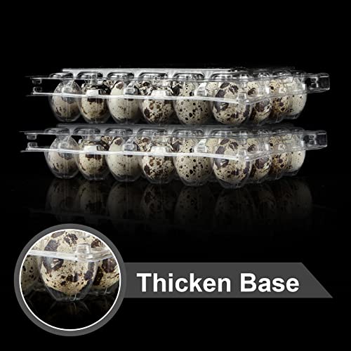 100 Pcs Quail Egg Cartons, 24 Grids Clear Quail Egg Cartons, Reusable Quail Egg Cartons Cheap Bulk, Plastic Stackable Egg Storage Box for Small Eggs,Quail,Pheasant,Pigeon Eggs