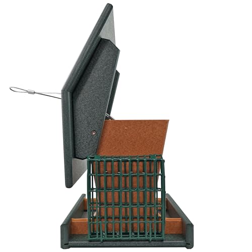 DutchCrafters Poly Hopper Bird Feeder with Suet Holder, Large Suet Feeder for Birds, Outdoor Hanging - Amish American Made (Turf Green & Cedar) - color: Turf Green & Cedar