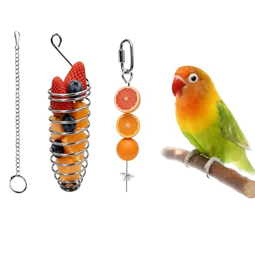 3-Piece Stainless Steel Bird Food Holder, Metal Parrot Foraging Toy, Hanging Fruit Vegetable Feeder Parakeet