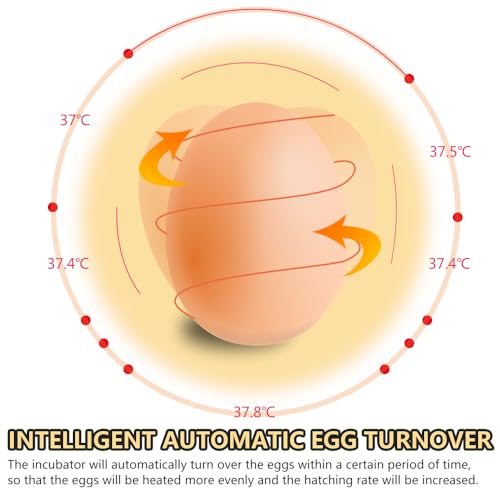 CROSSDESIGN Automatic Digital Egg Incubator 48 Eggs Poultry Hatcher Machine Breeder w/Temperature Control & Auto Turning for Hatching Chicken Duck Goose Quail Birds - size: 48 Eggs