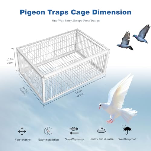 Pigeon Trap Cage with Escape-Proof Design Chicken Trap Bird Cage with One Way Entrance for Sparrows Quails Bird Chick and Duckling (15.75”L x 11.8” W x 10.24” H) - size: 15.75”L x 11.8” W x 10.24” H