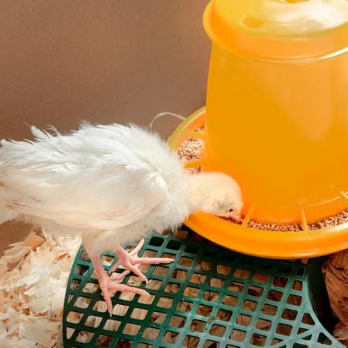 Premier 1 Poultry Feeder/Waterer Stand | Lifts feeders & waterers out of litter for cleaner high-traffic areas. Heavy plastic. 2.75"H x 21"W.