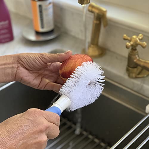 Fox Run Vegetable Cleaning Brush with Handle, Produce & Potato Scrub Brush | Long Lasting Bristles | Vegetable Brush Scrubber For Food | Easy To Store & Dishwasher Safe | Quickly Clean Produce & Veggies - style: Vegetable