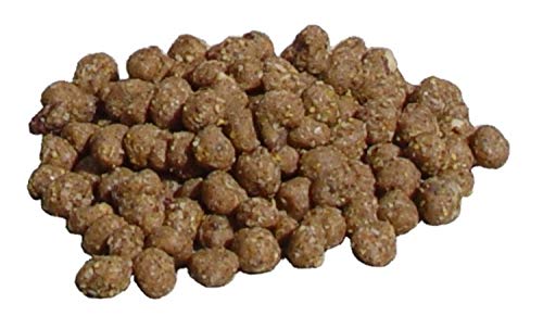 C&S Wild Bird Peanut Suet Nuggets Mega Box, 8 Pounds (Pack of 2) - size: 8 Pound (Pack of 2)