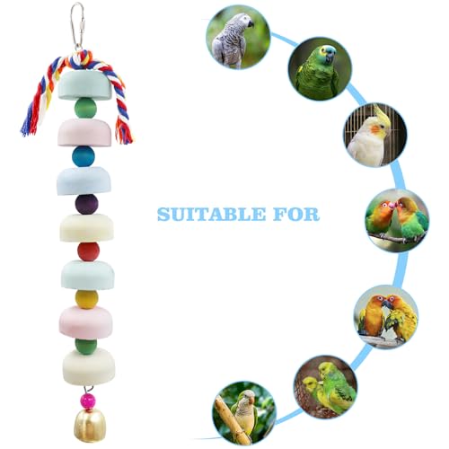 Mineral Chew Toy 2-Pack – Colorful Beaded Bird Toys with Bells | Beak Grinding & Foraging Enrichment for African Grey, Amazon Parrots, Budgies, Cockatiels, Conures
