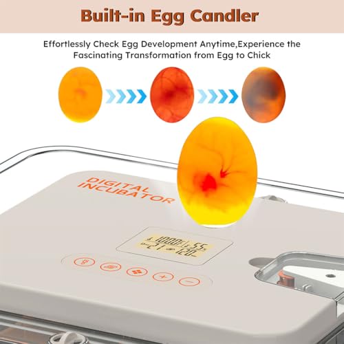 56-Egg Incubator, Automatic Egg Turner with LED Candler, Smart Temperature & Humidity Control, Automatic Water Refill, 360° Clear View, Airflow Circulation – Chicken, Duck, Quail, Bird Egg Hatcher