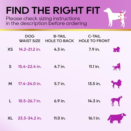 HONEY CARE All-Absorb Disposable Female Dog Diapers Small Size, Improved, 40 Count, Super Absorbent, Breathable, Wetness Indicator (Pack of 1, 40 Count Total) - size: SMALL(Pack of 1)
