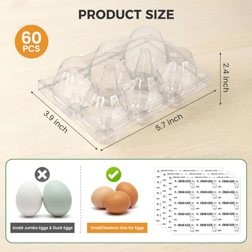 HANSGO 60 PCS Plastic Egg Cartons Bulk with Date Labels, 6 Count | Clear Stackable Egg Holder for Fresh Medium, Eggs Storage, Perfect for Farm, Family, Markets Display - color: 60PK-6CT