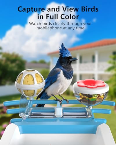 Bird Feeder with Camera, 2K Smart BirdCamera with Solar Powered, AI Identify Birds Species, Instant Arrival Alerts, 2.4Ghz WiFi Bird House for Outdoors, Ideal Gift for Family and Bird Lovers (Blue) - color: Blue