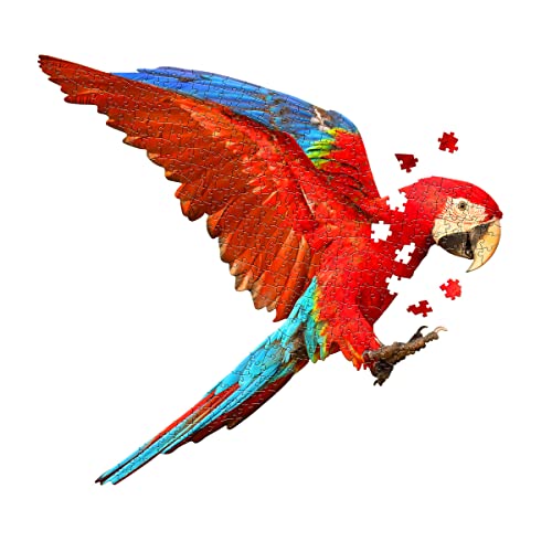 Madd CAPP Parrot 300 Piece Jigsaw Puzzle for Ages 10 and up - 6022 Unique-Shaped Border, Challenging Random Cut Pieces, Deluxe Five-Sided Tamperproof, Includes Educational Fun Facts (Parrot 300/6022)