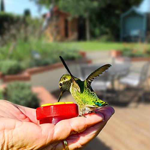 Hand Hummingbird Feeder, 4Pcs Mini Flower Hand Held Hummingbird Feeder with 4Pcs Cleaning Brush, Window Humming Wild Bird Feeders for Outdoor Supplies