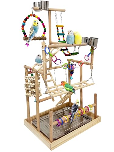 5 Layers Large Bird Playground Natural Wood Parrot Play Stand Birds Perch Stand Gym Parakeet Birds Cage Accessories with Removable Tray and 4 Stainless Steel Cups for Cockatiel Cockatoos Finch