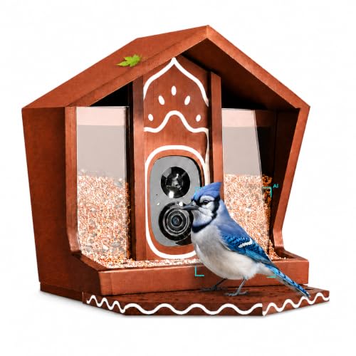 Smart Bird Feeder with Camera Solar Powered 2K UHD Video | AI Identification 10,000+ Bird Live Instant Arrival Alerts and Real-Time Motion Detection Weatherproof Bamboo for Outdoor - color: Brown and White