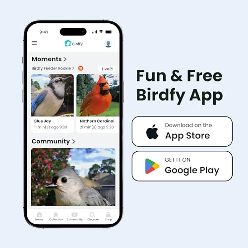 Bird Feeder with Camera for Rookie - Solar Powered Outdoor Bird Feeder with Dual Night Vision, AI Recognition, Slow Motion & IP66 Waterproof, Ideal for BirdLovers (Lifetime Free AI) - style: Lifetime Free AI