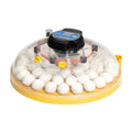 Brinsea Maxi 48 Advance Egg Incubator with Automatic Egg Turning and Temperature Control for Hatching 48 Chicken, Duck, or Other Eggs- Optimal Flexibility with Mix & Match Sizes - size: 48 Eggs