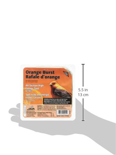 Heath Outdoor Products DD-14 Orange Burst Suet Cake, 11.25 oz., Case Of 12