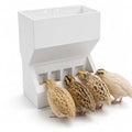 Wall Mount Automatic Quail Feeder, Anti Spill Feed Dispenser(White) | Large Capacity Hanging Trough for Quail Chicks Small Birds, Easy Refill Clean Cage Feeder for Brooder Breeding Grow Out Cages - color: White