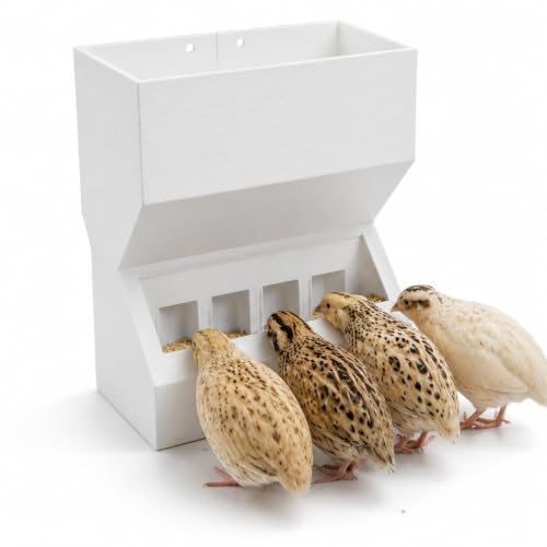 Wall Mount Automatic Quail Feeder, Anti Spill Feed Dispenser(White) | Large Capacity Hanging Trough for Quail Chicks Small Birds, Easy Refill Clean Cage Feeder for Brooder Breeding Grow Out Cages - color: White