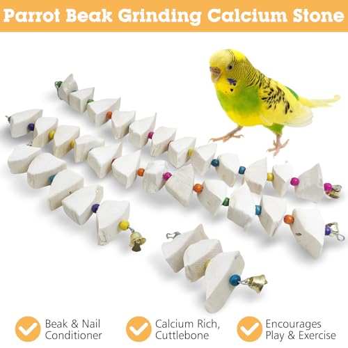 BNOSDM Bird Toys with Cuttlebone 4 Pack Hanging Cuttle Bone Chew Toys Natural Bird Beak Grinding Stone Parakeet Calcium Toys Bird Cage Accessories for Budgies Cockatiels Lovebirds Conures Parrots (9)
