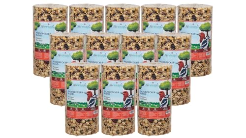 JCs Wildlife Woodpecker Blend Bird Seed Cylinder with Hole, Peanuts Pecans Pumpkin Seeds Berries, No Filler Wild Bird Food for Outside Feeders, Made in the USA, 1 Count (Pack of 12) - size: 1 Count (Pack of 12)