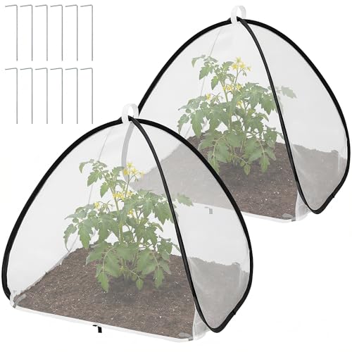 2 Pcs Pop Up Insect Barrier Plant Cover Tent, 22 x 22 x 22 Inch Foldable Garden Plant Protectors Mesh Enclosure, Garden Net Cage Bird Insect Guard Cover for Protecting Plants Fruits Vegetables - color: 22 X 22 X 22 Inch