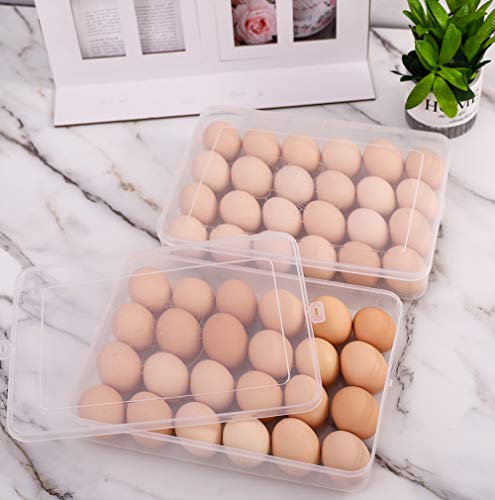 Sooyee 2 Pack Covered Egg Holders for Refrigerator,Clear 2X24 Deviled Egg Tray Storage Box Dispenser,Stackable Plastic Egg Cartons,Egg Holder Countertop(48 Eggs) - size: 2 Pack 24 Eggs