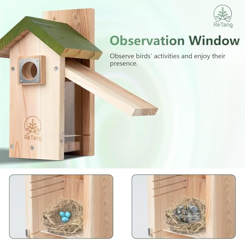 Outdoor Cedar Birdhouse, 1.5" Hole Bluebird Nesting Box with Predator Guard | Metal predator guard protects nest, side cleaning door opens fast, interior step gives baby birds extra grip to climb out - style: Modern