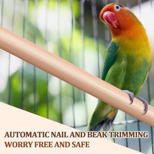 Sintuff 8 Pcs Bird Perches for Cage Accessories, Wooden Perch Rods Replacement with Double Head Slots, 0.6 Inch Diameter Natural Wood Stand for Parrot Macaw Cockatoo Parakeet (18 Inches,24 Inches) - size: 18 Inches,24 Inches
